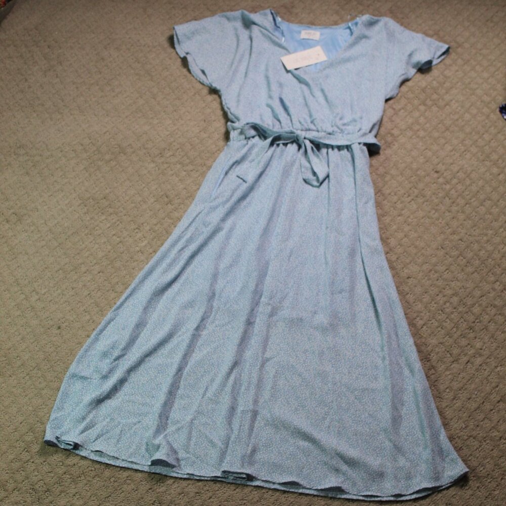 NWT Sienna Sky Size M Blue White Pattern Short Sleeve Fully Lined Maxi Dress